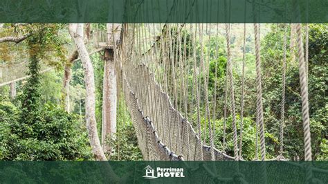 Exploring The Hidden Gems: 10 Must-See Places To Visit In Ghana