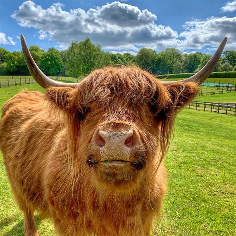 GODSTONE FARM & PLAY BARN - All You Need to Know BEFORE You Go 2026 ...