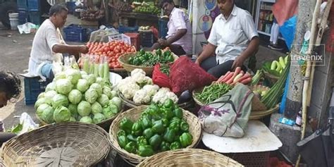 Matunga 的图像结果