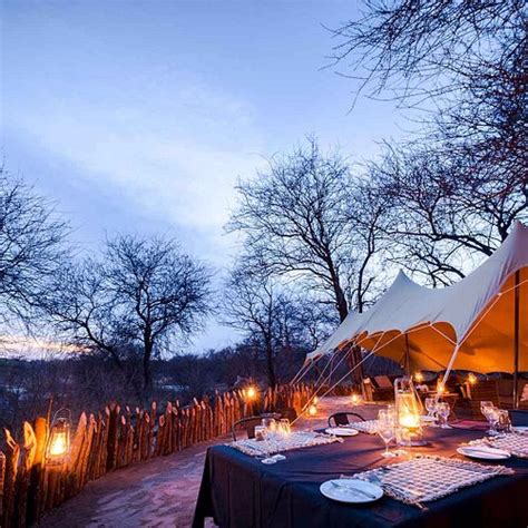 The 10 Best Hotel Deals in Moremi Game Reserve (Mar 2025) - Tripadvisor