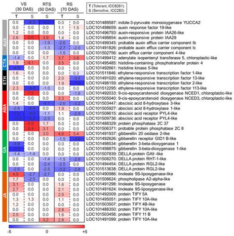 Comparative Root Transcriptomics Provide Insights into Drought ...