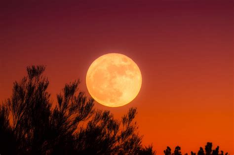 秋月, 满月, 天空, 晚上, 日落, 黄昏, 晚上高清大图，无版权商业图片免费下载