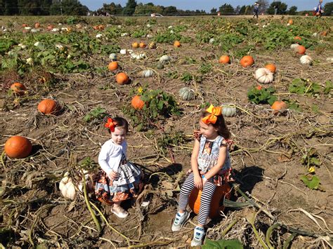 Around RVA: Lloyd Family Farms — Pineapples and Peonies