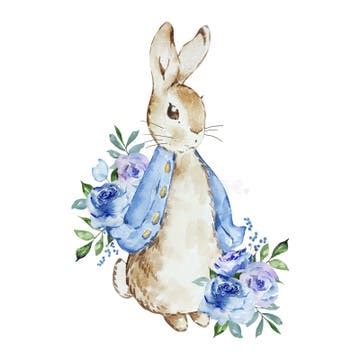 Image result for Rabbit SpO2
