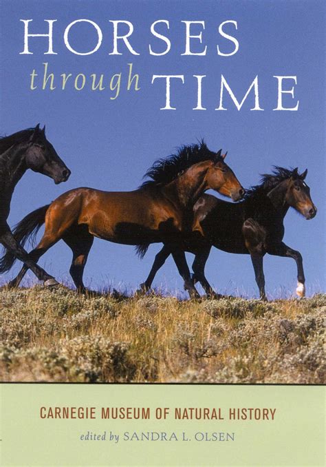Horses through Time eBook by Sandra L. Olsen | Official Publisher Page ...