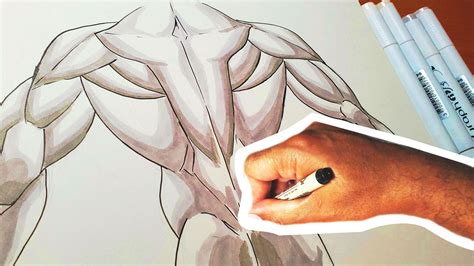 How To Draw Muscles Easy