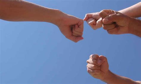 Image result for Neighbors Not Getting Along