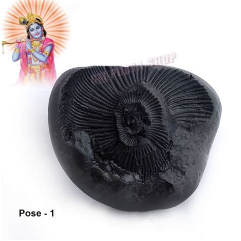 Buy Original Shaligrams Shila Stone | Vishnu Shila