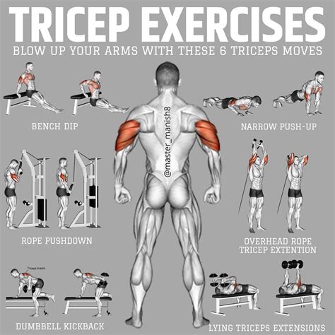 Best Exercises With Dumbbells For Triceps at Nelson Kennedy blog