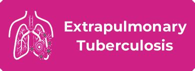 Adult Extrapulmonary Tuberculosis | NIHFW
