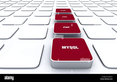 HTML CSS and JS PHP MySQL Relation 的图像结果