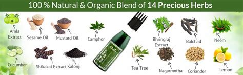 Buy Globus Naturals Tea tree Hair Oil 100 ml, for dandruff & ichy scalp ...