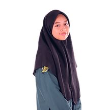 Image result for Bbis Official Transcript