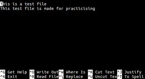 Image result for File Editing Nano Linux