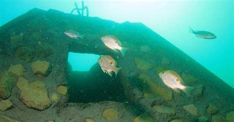 In Tamil Nadu, fishermen deploy artificial coral reefs to revive ...