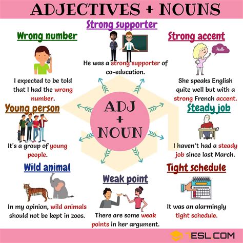 Nouns And Adjectives