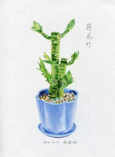 彩铅手绘 的图像结果