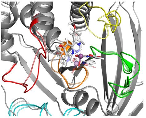 Synthesis, In Vitro, and Computational Studies of PTP1B Phosphatase ...