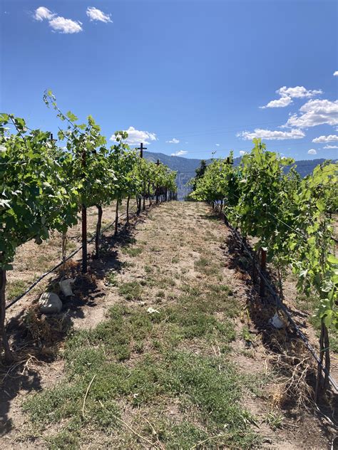 The Wine Write: A Conversation With Paul Zitarelli of Full Pull Wines