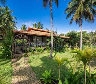 Discovery Village | Gallery