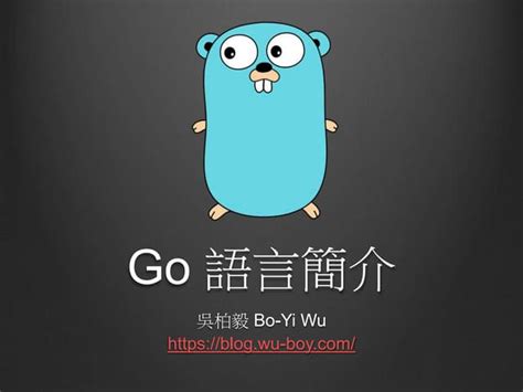 Go Language Basics 的图像结果