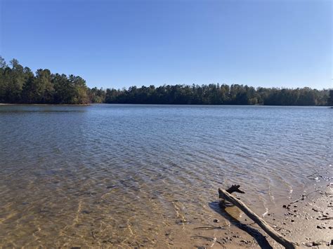 Lake Wedowee, Alabama : r/Outdoorsie