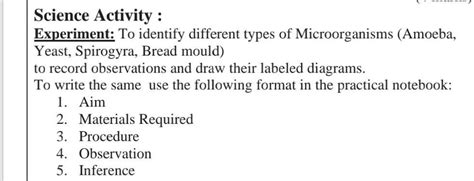 Experiment: To identify different types of Microorganisms (Amoeba ...