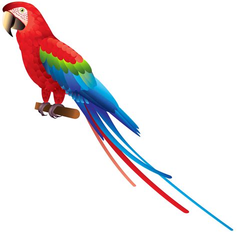 Parrot Bird Clipart | Free download on ClipArtMag