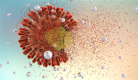 ***MEET OUR STUDENTS*** Poonam Varma is a graduate student in ...