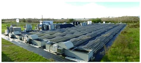 Image result for Environment Diffuse Scale Demonstration