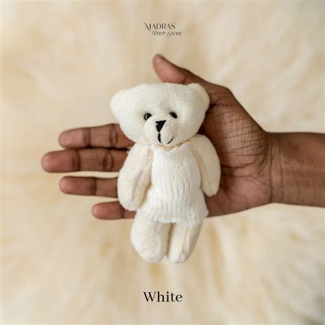 Mousy Bear – Madras Prop Store