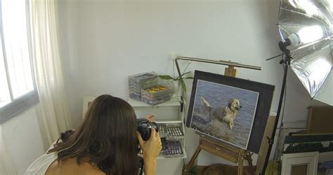 Image result for Image Scanner Vs Camera