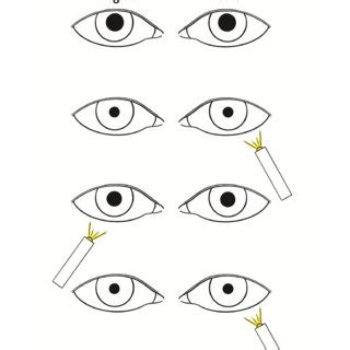 SLR Testing 的图像结果
