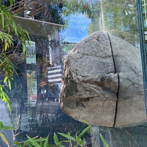 A ROCK DIVIDED: Tutto quello che c'è da sapere (2026)