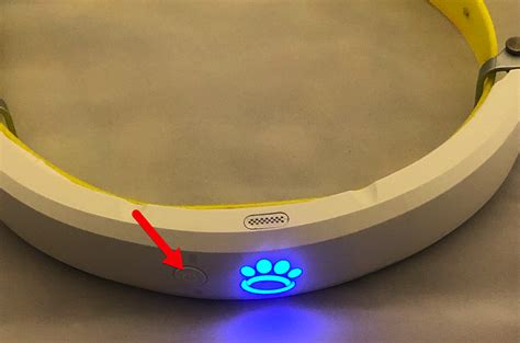 Powering the Halo Collar: Step-by-Step Guide