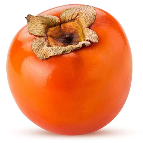 M-Tech Gardens Rare Hybrid Persimmon " Nightingale " Exotic 5 Fruit ...