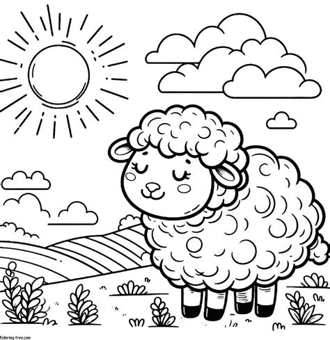 21 Sheep Coloring Pages (Free Unique Printables)