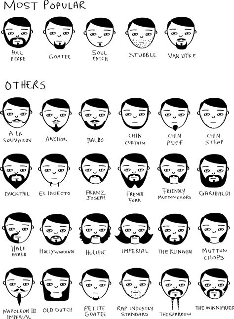 Movember Beard Styles – ChartGeek.com