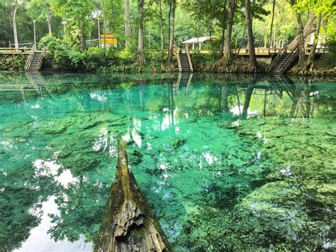 Top 7 Florida Springs to Visit: Refreshing Water, Manatees, & Camping!