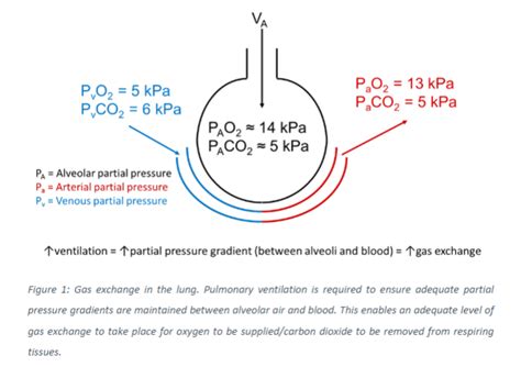 Image result for PCO2 Sensor Working