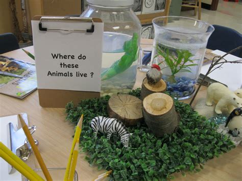 animal habitats Primary Science, Kindergarten Science, Teaching Science ...