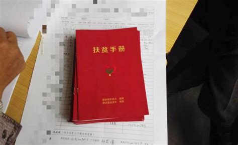 关于2020年河北省教育厅发布的“建档立卡”的解读_河北省专接本网站
