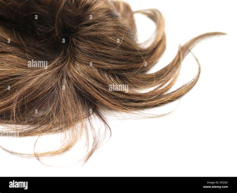Tuft Of Hair Stock Photos & Tuft Of Hair Stock Images - Alamy
