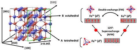 Hybrid Nanostructured Magnetite Nanoparticles: From Bio-Detection and ...
