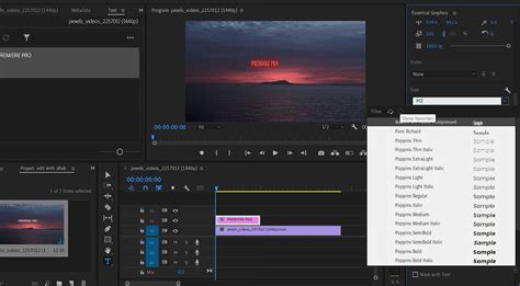 Image result for Premiere Pro Text Effects
