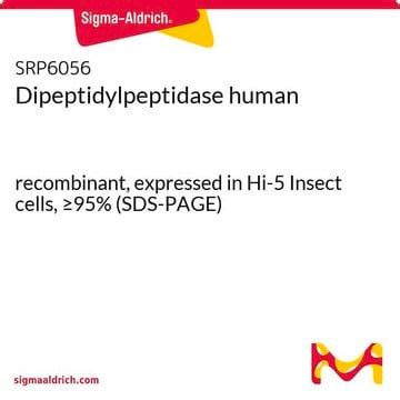 Dipeptidylpeptidase human recombinant, expressed in Hi-5 Insect cells ...