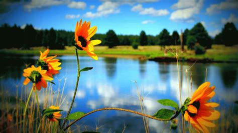 Image result for Spring Weather Meaning