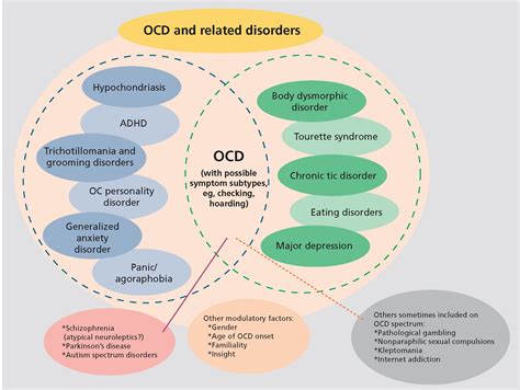 Obsessive-compulsive disorder and its related disorders: a reappraisal ...