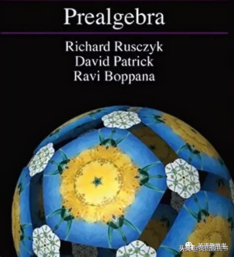 AoPS The Art of Problem Solving系列全套教材 解题的艺术 美国小学初中高中数学奥数教材 AMC8 10 12备考 ...
