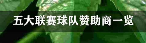 29支晋级世界杯球队球衣赞助商统计：耐克赞助12支数量最多-直播吧zhibo8.cc